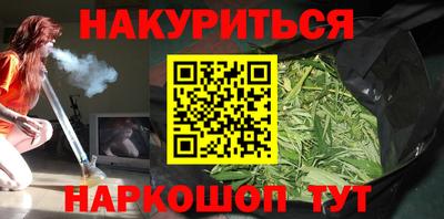 2c-b Кингисепп