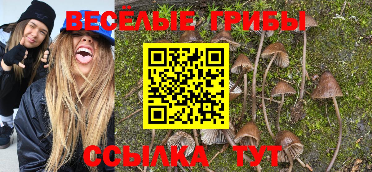 Югорск  Галлюциногенные грибы Magic Shrooms  Вход с VPN 