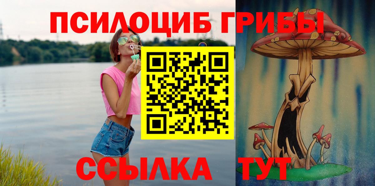 Псилоцибиновые грибы Psilocybe Югорск